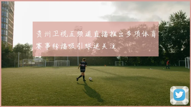 贵州卫视五频道直播推出多项体育赛事转播吸引球迷关注